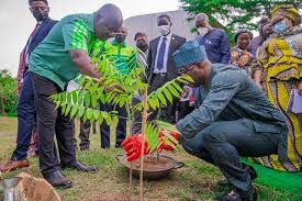 Oyo Govt to plant 500,000 trees by 2023
